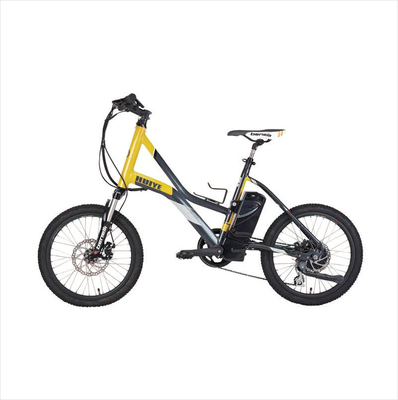 OEM Fascial Gun Battery 24V 2600Mah Electric Bicycle Battery قابل جابجایی